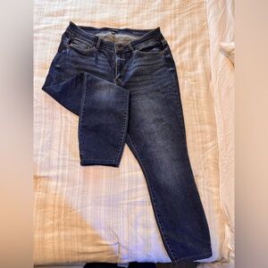 Judy Blue Skinny Fit Jeans